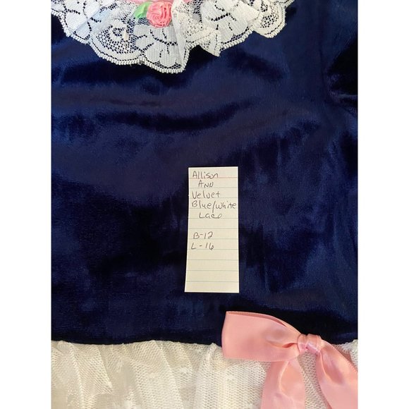Allison Ann Blue Velvet White Lace Pink Bow Long Sleeves Size 2T Girls Dress Vin - Picture 11 of 11
